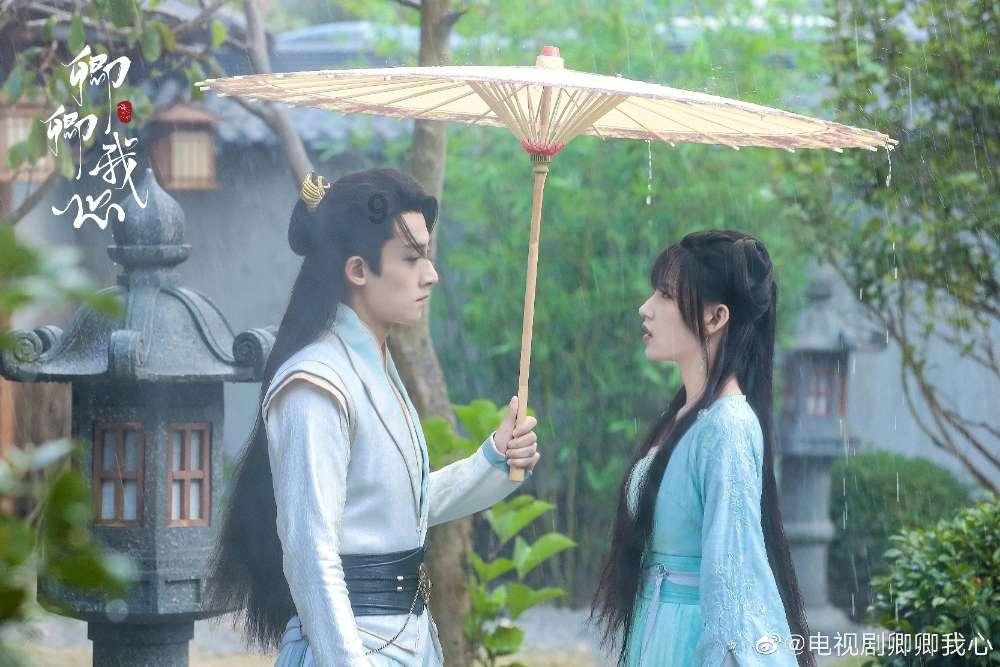 探秘属龙属虎的门囗可不可放石狮?,问答交流乐趣无穷