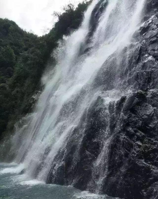 月光影视