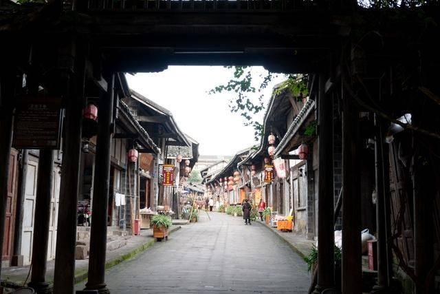 春雨直播app